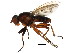  ( - BIOUG00938-D10)  @15 [ ] CreativeCommons - Attribution (2011) CBG Photography Group Centre for Biodiversity Genomics