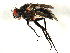  ( - BIOUG00938-F04)  @14 [ ] CreativeCommons - Attribution (2011) CBG Photography Group Centre for Biodiversity Genomics