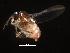  ( - BIOUG00870-H04)  @12 [ ] CreativeCommons - Attribution (2011) CBG Photography Group Centre for Biodiversity Genomics