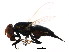  ( - BIOUG00965-B05)  @13 [ ] CreativeCommons - Attribution (2011) CBG Photography Group Centre for Biodiversity Genomics