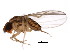  ( - BIOUG00978-C04)  @13 [ ] CreativeCommons - Attribution (2011) CBG Photography Group Centre for Biodiversity Genomics