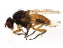  ( - BIOUG01336-G05)  @13 [ ] CreativeCommons - Attribution (2011) CBG Photography Group Centre for Biodiversity Genomics