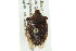  ( - BIOUG01150-C05)  @12 [ ] CreativeCommons - Attribution (2011) CBG Photography Group Centre for Biodiversity Genomics