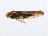  ( - BIOUG00936-G09)  @13 [ ] CreativeCommons - Attribution (2011) CBG Photography Group Centre for Biodiversity Genomics
