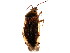 ( - BIOUG01019-G04)  @13 [ ] CreativeCommons - Attribution (2011) CBG Photography Group Centre for Biodiversity Genomics