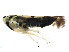  ( - BIOUG01107-C02)  @12 [ ] CreativeCommons - Attribution (2011) CBG Photography Group Centre for Biodiversity Genomics