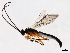  ( - BIOUG01028-F01)  @13 [ ] CreativeCommons - Attribution (2011) CBG Photography Group Centre for Biodiversity Genomics
