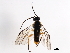  ( - BIOUG01028-F04)  @13 [ ] CreativeCommons - Attribution (2011) CBG Photography Group Centre for Biodiversity Genomics