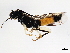  ( - BIOUG01028-H10)  @13 [ ] CreativeCommons - Attribution (2011) CBG Photography Group Centre for Biodiversity Genomics