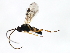  ( - BIOUG01029-A02)  @12 [ ] CreativeCommons - Attribution (2011) CBG Photography Group Centre for Biodiversity Genomics