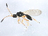  ( - BIOUG01029-D07)  @13 [ ] CreativeCommons - Attribution (2011) CBG Photography Group Centre for Biodiversity Genomics