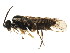  ( - BIOUG01030-A05)  @13 [ ] CreativeCommons - Attribution (2011) CBG Photography Group Centre for Biodiversity Genomics