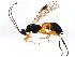  ( - BIOUG01030-C10)  @14 [ ] CreativeCommons - Attribution (2011) CBG Photography Group Centre for Biodiversity Genomics