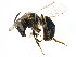  ( - BIOUG01032-D01)  @14 [ ] CreativeCommons - Attribution (2011) CBG Photography Group Centre for Biodiversity Genomics