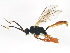  ( - BIOUG01033-D09)  @12 [ ] CreativeCommons - Attribution (2011) CBG Photography Group Centre for Biodiversity Genomics