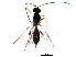  ( - BIOUG01035-D02)  @12 [ ] CreativeCommons - Attribution (2011) CBG Photography Group Centre for Biodiversity Genomics