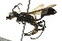  ( - BIOUG01023-D10)  @13 [ ] CreativeCommons - Attribution (2011) CBG Photography Group Centre for Biodiversity Genomics