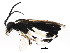  ( - BIOUG01036-G03)  @12 [ ] CreativeCommons - Attribution (2011) CBG Photography Group Centre for Biodiversity Genomics