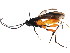  ( - BIOUG01036-G10)  @14 [ ] CreativeCommons - Attribution (2011) CBG Photography Group Centre for Biodiversity Genomics