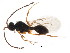  ( - BIOUG01037-B07)  @12 [ ] CreativeCommons - Attribution (2011) CBG Photography Group Centre for Biodiversity Genomics
