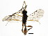  ( - BIOUG01044-F08)  @13 [ ] CreativeCommons - Attribution (2011) CBG Photography Group Centre for Biodiversity Genomics