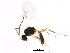  ( - BIOUG01077-H02)  @12 [ ] CreativeCommons - Attribution (2011) CBG Photography Group Centre for Biodiversity Genomics