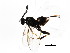 ( - BIOUG01088-A05)  @12 [ ] CreativeCommons - Attribution (2011) CBG Photography Group Centre for Biodiversity Genomics