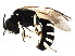  ( - BIOUG01113-C10)  @12 [ ] CreativeCommons - Attribution (2011) CBG Photography Group Centre for Biodiversity Genomics