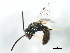  ( - BIOUG01115-G05)  @14 [ ] CreativeCommons - Attribution (2011) CBG Photography Group Centre for Biodiversity Genomics