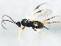  ( - BIOUG01115-G08)  @12 [ ] CreativeCommons - Attribution (2011) CBG Photography Group Centre for Biodiversity Genomics