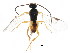  ( - BIOUG01252-C12)  @13 [ ] CreativeCommons - Attribution (2011) CBG Photography Group Centre for Biodiversity Genomics