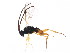  ( - BIOUG01258-H06)  @12 [ ] CreativeCommons - Attribution (2011) CBG Photography Group Centre for Biodiversity Genomics