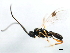  ( - BIOUG01280-C02)  @11 [ ] CreativeCommons - Attribution (2011) CBG Photography Group Centre for Biodiversity Genomics