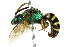  ( - BIOUG01282-C05)  @13 [ ] CreativeCommons - Attribution (2012) CBG Photography Group Centre for Biodiversity Genomics
