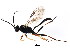  ( - BIOUG01281-E01)  @13 [ ] CreativeCommons - Attribution (2011) CBG Photography Group Centre for Biodiversity Genomics