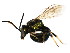  ( - BIOUG01283-A07)  @14 [ ] CreativeCommons - Attribution (2011) CBG Photography Group Centre for Biodiversity Genomics