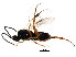  ( - BIOUG01283-H11)  @12 [ ] CreativeCommons - Attribution (2011) CBG Photography Group Centre for Biodiversity Genomics