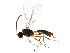  ( - BIOUG01285-F08)  @12 [ ] CreativeCommons - Attribution (2011) CBG Photography Group Centre for Biodiversity Genomics