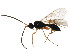  ( - BIOUG01285-H04)  @13 [ ] CreativeCommons - Attribution (2011) CBG Photography Group Centre for Biodiversity Genomics