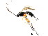  ( - BIOUG01291-A01)  @14 [ ] CreativeCommons - Attribution (2011) CBG Photography Group Centre for Biodiversity Genomics