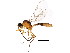  ( - BIOUG01327-D12)  @13 [ ] CreativeCommons - Attribution (2011) CBG Photography Group Centre for Biodiversity Genomics