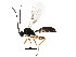  ( - BIOUG01327-H06)  @13 [ ] CreativeCommons - Attribution (2011) CBG Photography Group Centre for Biodiversity Genomics