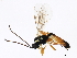  ( - BIOUG01330-A12)  @12 [ ] CreativeCommons - Attribution (2012) CBG Photography Group Centre for Biodiversity Genomics
