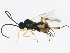  ( - BIOUG01330-D09)  @12 [ ] CreativeCommons - Attribution (2012) CBG Photography Group Centre for Biodiversity Genomics
