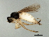  ( - BIOUG01587-G08)  @13 [ ] CreativeCommons - Attribution (2012) CBG Photography Group Centre for Biodiversity Genomics