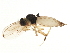  ( - BIOUG01588-C07)  @13 [ ] CreativeCommons - Attribution (2012) CBG Photography Group Centre for Biodiversity Genomics