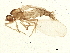 ( - BIOUG01588-D09)  @13 [ ] CreativeCommons - Attribution (2012) CBG Photography Group Centre for Biodiversity Genomics