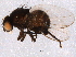  ( - BIOUG01589-A04)  @13 [ ] CreativeCommons - Attribution (2014) CBG Photography Group Centre for Biodiversity Genomics