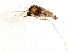  ( - BIOUG01589-G11)  @13 [ ] CreativeCommons - Attribution (2011) CBG Photography Group Centre for Biodiversity Genomics