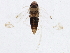  ( - BIOUG01595-D09)  @13 [ ] CreativeCommons - Attribution (2012) CBG Photography Group Centre for Biodiversity Genomics